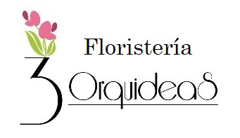logo flori